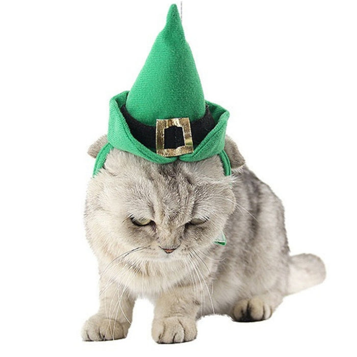 Polyester Pet Cone Hat And Collar Set